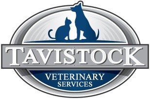 Welcome to Tavistock Veterinarians